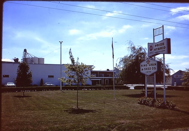 The King Grain and Seed and Pride Hybrid signs on the lawn